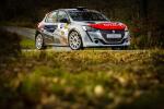 Peugeot 208 Rally 4 2020 года